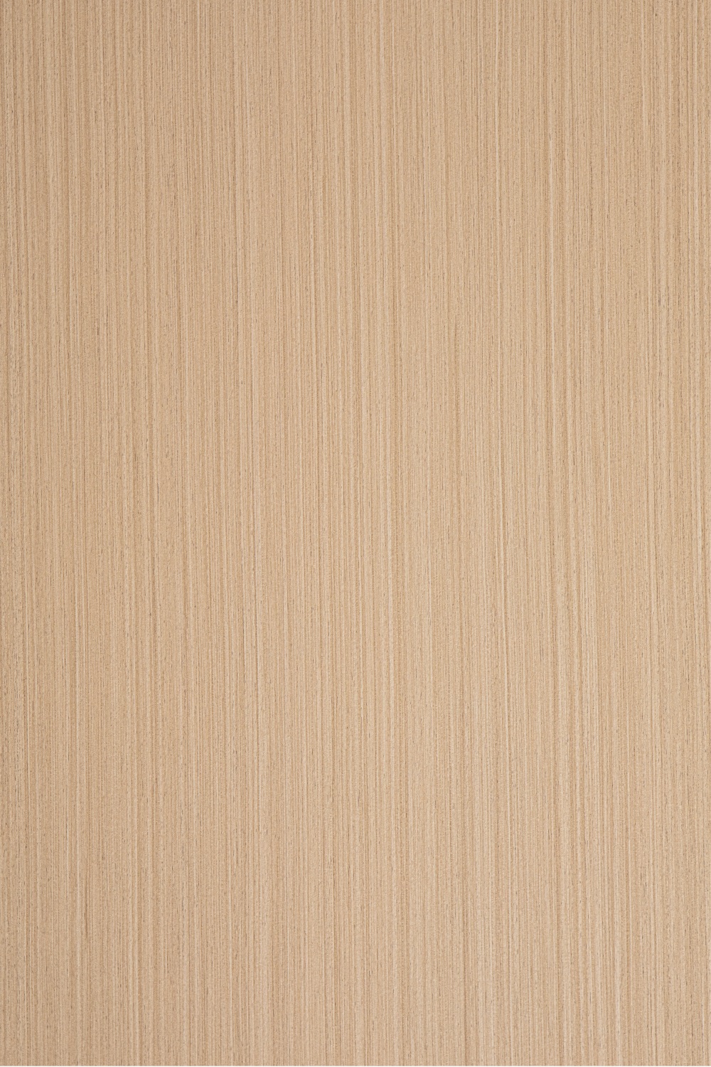 T21 維德一號(hào)